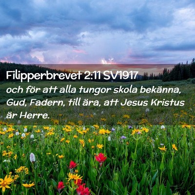 Picture 02 - Filipperbrevet 2:11 SV1917 - och för att alla tungor skola bekänna, Gud, - Bible Verse Picture