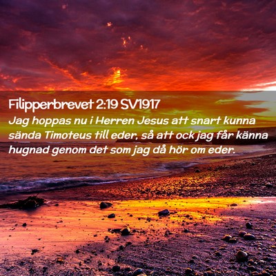 Picture 02 - Filipperbrevet 2:19 SV1917 - Jag hoppas nu i Herren Jesus att snart kunna - Bible Verse Picture