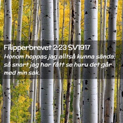 Picture 02 - Filipperbrevet 2:23 SV1917 - Honom hoppas jag alltså kunna sända, så snart - Bible Verse Picture