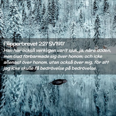 Picture 02 - Filipperbrevet 2:27 SV1917 - Han har också verkligen varit sjuk, ja, nära - Bible Verse Picture