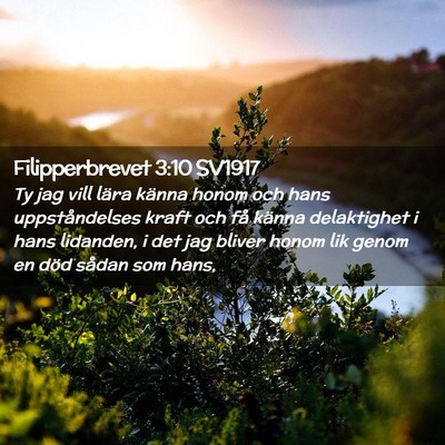 Picture 02 - Filipperbrevet 3:10 SV1917 - Ty jag vill lära känna honom och hans - Bible Verse Picture