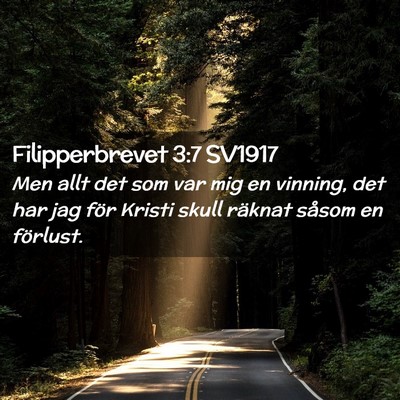 Picture 02 - Filipperbrevet 3:7 SV1917 - Men allt det som var mig en vinning, det har jag - Bible Verse Picture