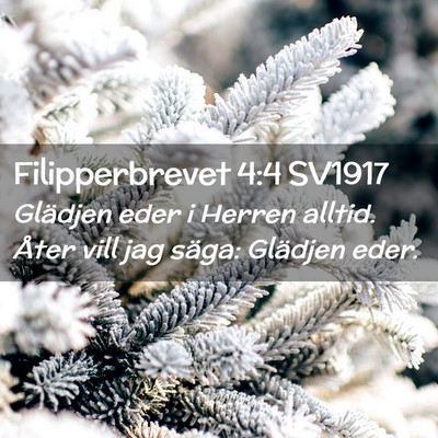 Picture 02 - Filipperbrevet 4:4 SV1917 - Glädjen eder i Herren alltid. Åter vill jag - Bible Verse Picture