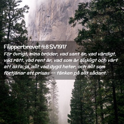 Picture 02 - Filipperbrevet 4:8 SV1917 - För övrigt, mina bröder, vad sant är, vad - Bible Verse Picture