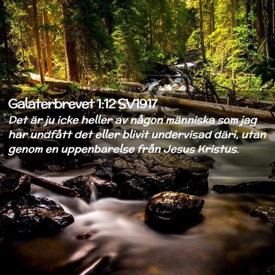 Picture 02 - Galaterbrevet 1:12 SV1917 - Det är ju icke heller av någon människa som - Bible Verse Picture