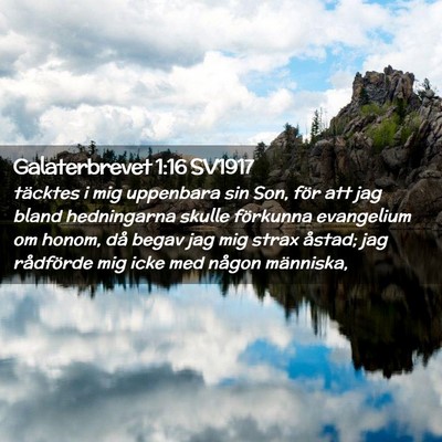 Picture 02 - Galaterbrevet 1:16 SV1917 - täcktes i mig uppenbara sin Son, för att jag - Bible Verse Picture