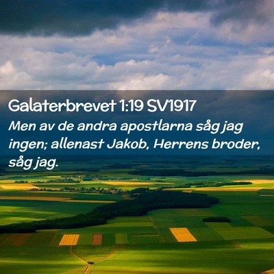 Picture 02 - Galaterbrevet 1:19 SV1917 - Men av de andra apostlarna såg jag ingen; - Bible Verse Picture