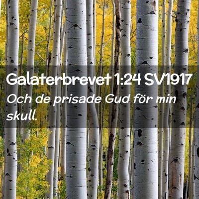Picture 02 - Galaterbrevet 1:24 SV1917 - Och de prisade Gud för min - Bible Verse Picture