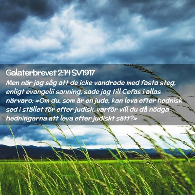 Picture 02 - Galaterbrevet 2:14 SV1917 - Men när jag såg att de icke vandrade med fasta - Bible Verse Picture