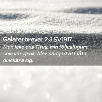 Picture 02 - Galaterbrevet 2:3 SV1917 - Men icke ens Titus, min följeslagare, som var - Bible Verse Picture