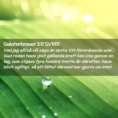 Picture 02 - Galaterbrevet 3:17 SV1917 - Vad jag alltså vill säga är detta: Ett - Bible Verse Picture