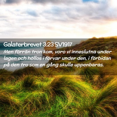 Picture 02 - Galaterbrevet 3:23 SV1917 - Men förrän tron kom, voro vi inneslutna under - Bible Verse Picture