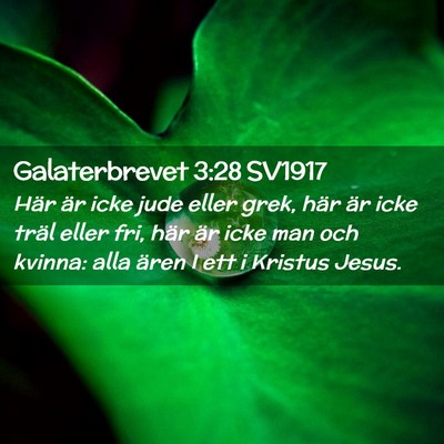 Picture 02 - Galaterbrevet 3:28 SV1917 - Här är icke jude eller grek, här är icke - Bible Verse Picture