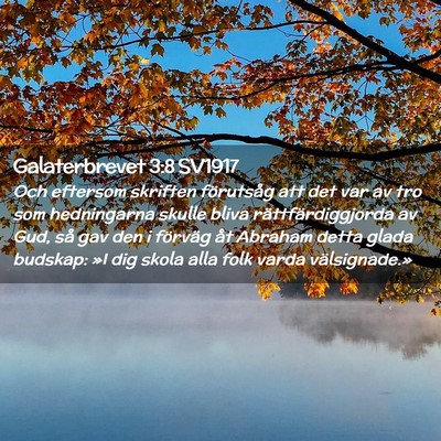 Picture 02 - Galaterbrevet 3:8 SV1917 - Och eftersom skriften förutsåg att det var av - Bible Verse Picture