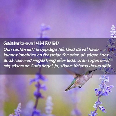 Picture 02 - Galaterbrevet 4:14 SV1917 - Och fastän mitt kroppsliga tillstånd då väl - Bible Verse Picture
