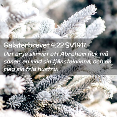 Picture 02 - Galaterbrevet 4:22 SV1917 - Det är ju skrivet att Abraham fick två söner, - Bible Verse Picture