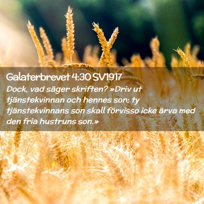 Picture 02 - Galaterbrevet 4:30 SV1917 - Dock, vad säger skriften? »Driv ut - Bible Verse Picture