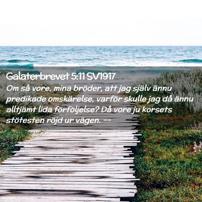 Picture 02 - Galaterbrevet 5:11 SV1917 - Om så vore, mina bröder, att jag själv ännu - Bible Verse Picture