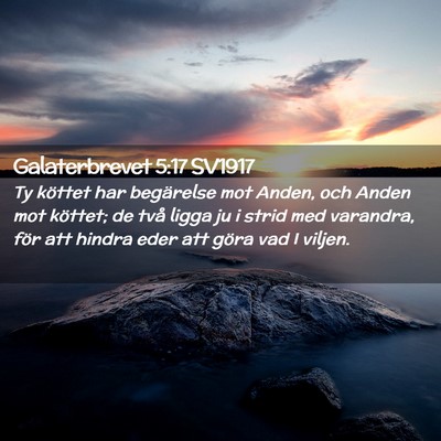 Picture 02 - Galaterbrevet 5:17 SV1917 - Ty köttet har begärelse mot Anden, och Anden - Bible Verse Picture