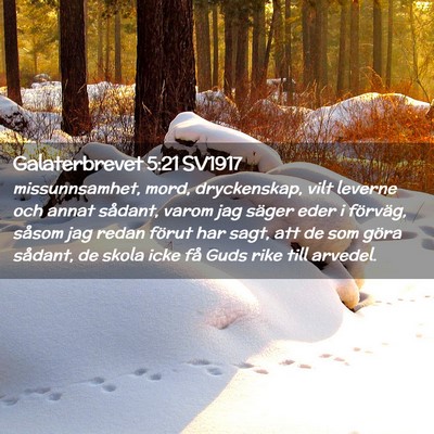 Picture 02 - Galaterbrevet 5:21 SV1917 - missunnsamhet, mord, dryckenskap, vilt leverne - Bible Verse Picture