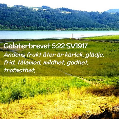 Picture 02 - Galaterbrevet 5:22 SV1917 - Andens frukt åter är kärlek, glädje, frid, - Bible Verse Picture