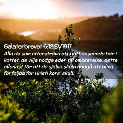 Picture 02 - Galaterbrevet 6:12 SV1917 - Alla de som eftersträva ett gott anseende här i - Bible Verse Picture