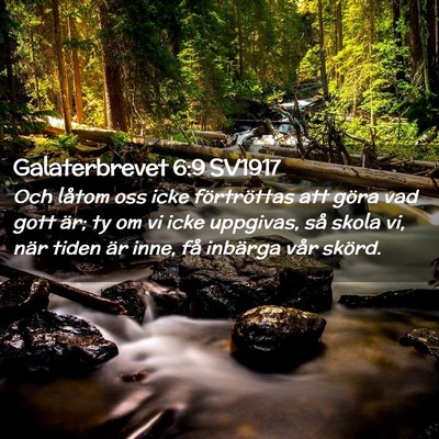 Picture 02 - Galaterbrevet 6:9 SV1917 - Och låtom oss icke förtröttas att göra vad - Bible Verse Picture