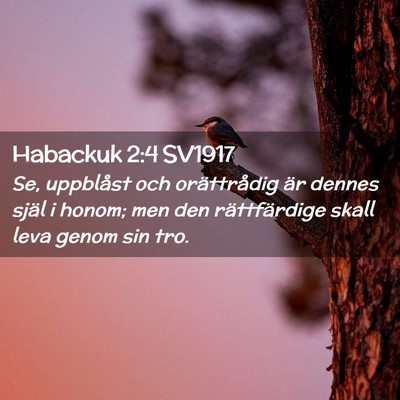 Picture 02 - Habackuk 2:4 SV1917 - Se, uppblåst och orättrådig är dennes själ i - Bible Verse Picture