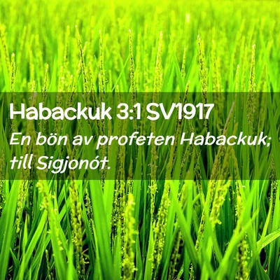 Picture 02 - Habackuk 3:1 SV1917 - En bön av profeten Habackuk; till - Bible Verse Picture