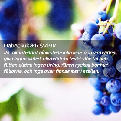 Picture 02 - Habackuk 3:17 SV1917 - Ja, fikonträdet blomstrar icke mer, och - Bible Verse Picture
