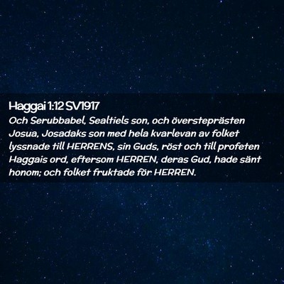 Picture 02 - Haggai 1:12 SV1917 - Och Serubbabel, Sealtiels son, och - Bible Verse Picture