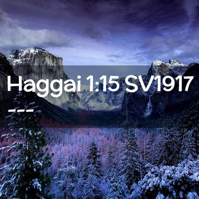 Picture 02 - Haggai 1:15 SV1917 -  - Bible Verse Picture