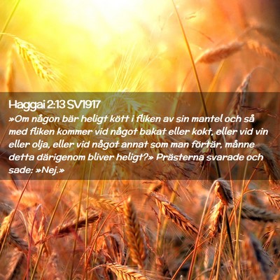 Picture 02 - Haggai 2:13 SV1917 - »Om någon bär heligt kött i fliken av sin - Bible Verse Picture