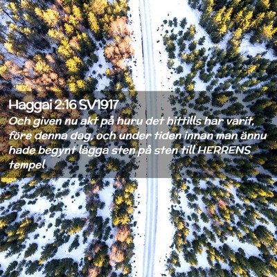 Picture 02 - Haggai 2:16 SV1917 - Och given nu akt på huru det hittills har varit, - Bible Verse Picture