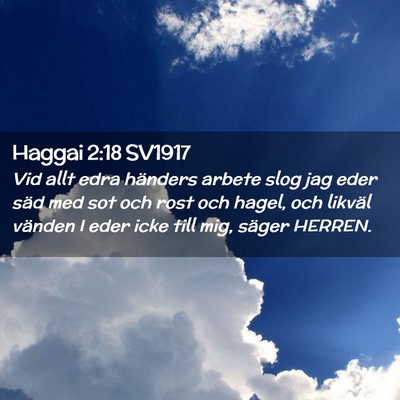 Picture 02 - Haggai 2:18 SV1917 - Vid allt edra händers arbete slog jag eder säd - Bible Verse Picture