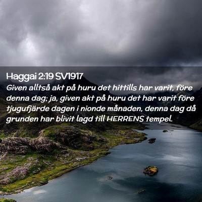 Picture 02 - Haggai 2:19 SV1917 - Given alltså akt på huru det hittills har - Bible Verse Picture