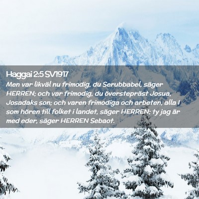 Picture 02 - Haggai 2:5 SV1917 - Men var likväl nu frimodig, du Serubbabel, - Bible Verse Picture