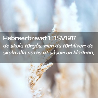 Picture 02 - Hebreerbrevet 1:11 SV1917 - de skola förgås, men du förbliver; de skola - Bible Verse Picture