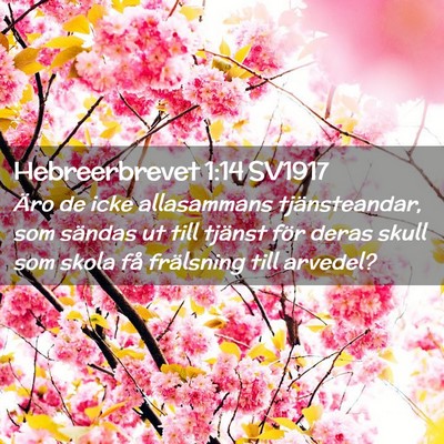 Picture 02 - Hebreerbrevet 1:14 SV1917 - Äro de icke allasammans tjänsteandar, som - Bible Verse Picture