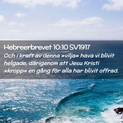Picture 02 - Hebreerbrevet 10:10 SV1917 - Och i kraft av denna »vilja» hava vi blivit - Bible Verse Picture