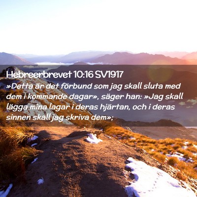 Picture 02 - Hebreerbrevet 10:16 SV1917 - »Detta är det förbund som jag skall sluta med - Bible Verse Picture