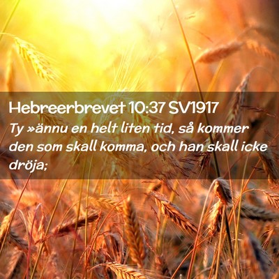 Picture 02 - Hebreerbrevet 10:37 SV1917 - Ty »ännu en helt liten tid, så kommer den som - Bible Verse Picture