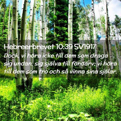 Picture 02 - Hebreerbrevet 10:39 SV1917 - Dock, vi höra icke till dem som draga sig undan, - Bible Verse Picture