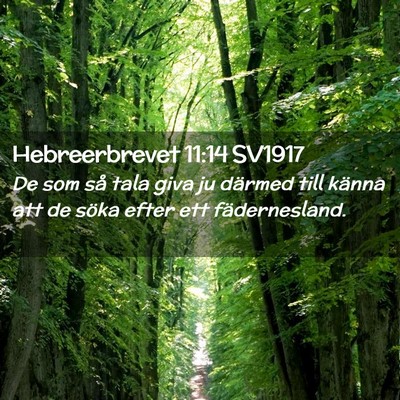 Picture 02 - Hebreerbrevet 11:14 SV1917 - De som så tala giva ju därmed till känna att - Bible Verse Picture