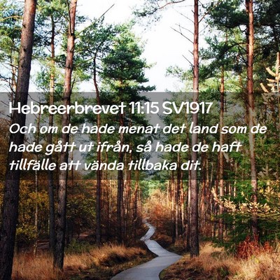 Picture 02 - Hebreerbrevet 11:15 SV1917 - Och om de hade menat det land som de hade gått - Bible Verse Picture