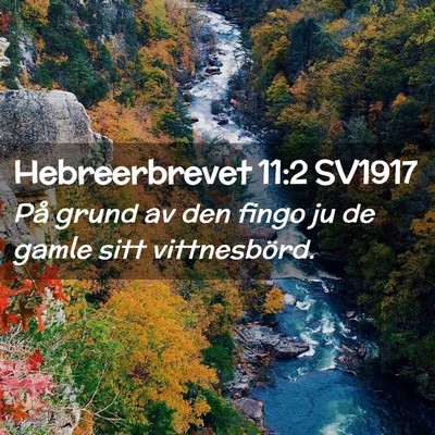 Picture 02 - Hebreerbrevet 11:2 SV1917 - På grund av den fingo ju de gamle sitt - Bible Verse Picture