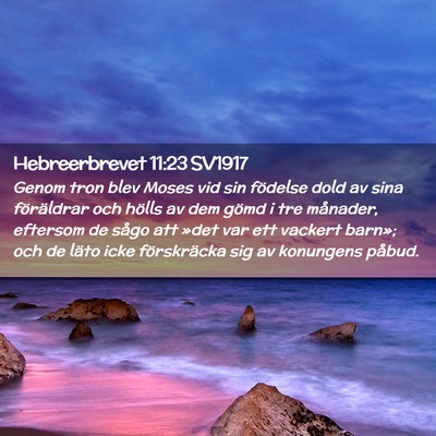 Picture 02 - Hebreerbrevet 11:23 SV1917 - Genom tron blev Moses vid sin födelse dold av - Bible Verse Picture