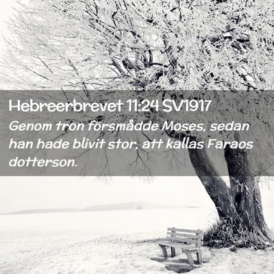 Picture 02 - Hebreerbrevet 11:24 SV1917 - Genom tron försmådde Moses, sedan han hade - Bible Verse Picture