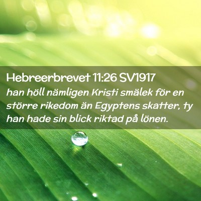 Picture 02 - Hebreerbrevet 11:26 SV1917 - han höll nämligen Kristi smälek för en - Bible Verse Picture