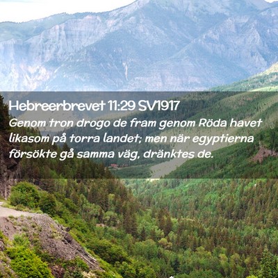 Picture 02 - Hebreerbrevet 11:29 SV1917 - Genom tron drogo de fram genom Röda havet - Bible Verse Picture